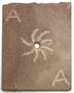 <p>Arschkarte<br /><br />2009<br />Sandstone<br />9 x 7 x 0,5 cm<br />Ed. 11</p>